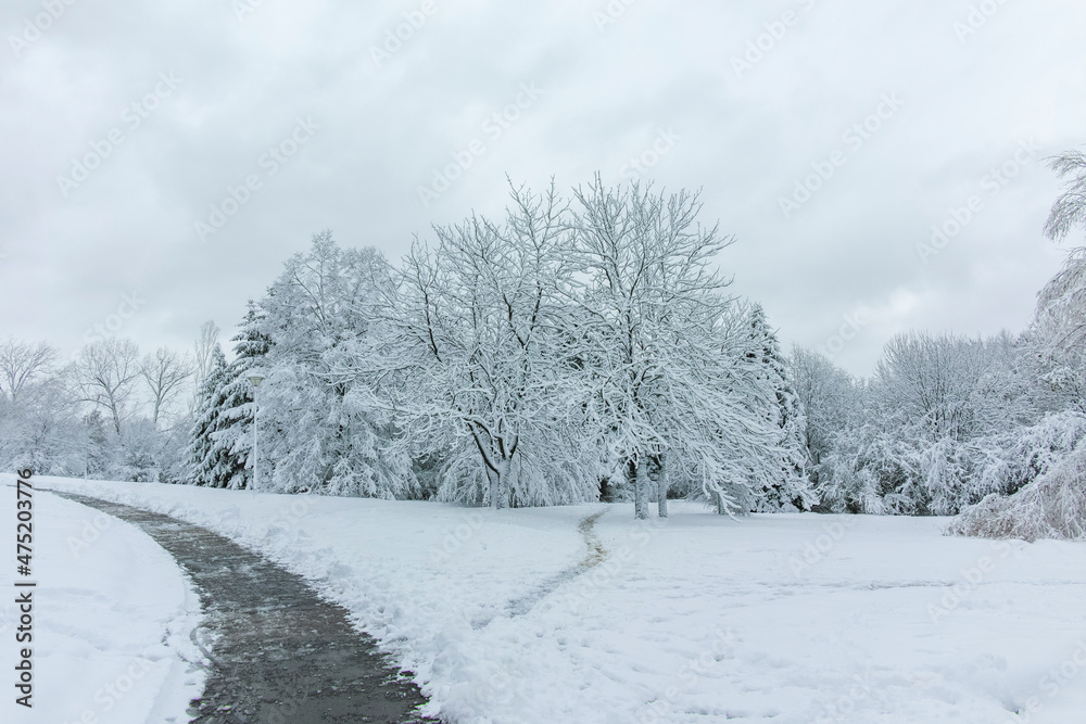 Fototapeta premium Winter Landscape of South Park in city of Sofia, Bulgaria