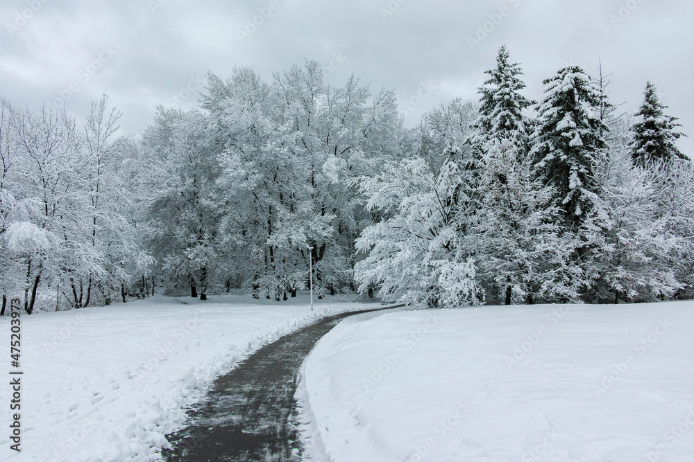 Fototapeta premium Winter Landscape of South Park in city of Sofia, Bulgaria