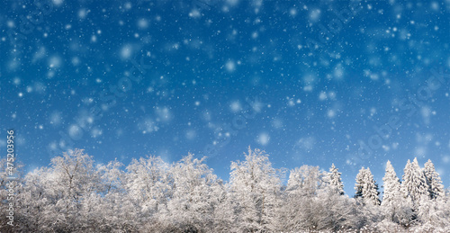 Blurred snowy soft defocus light background, with fluffy snow. Winter background, snow-covered forest, falling snow against the blue sky