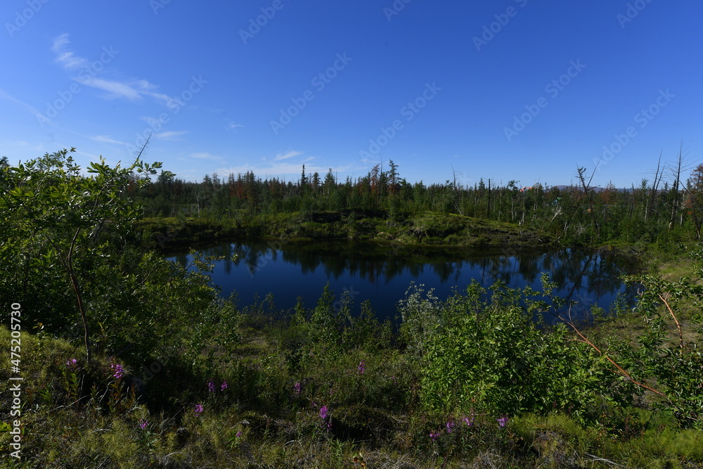 nature in russia