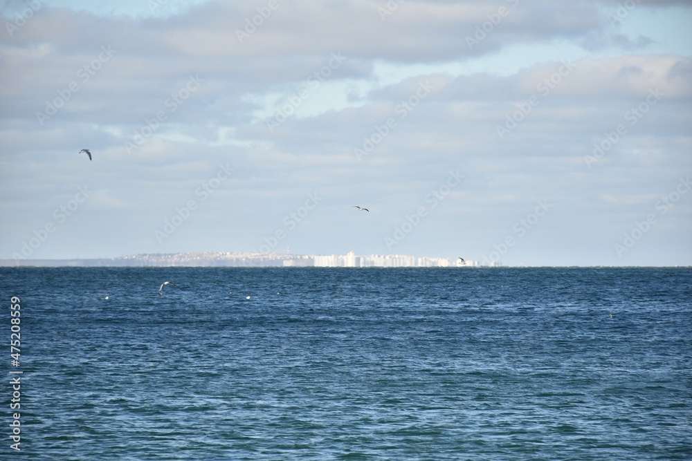 view of the city on the sea horizon