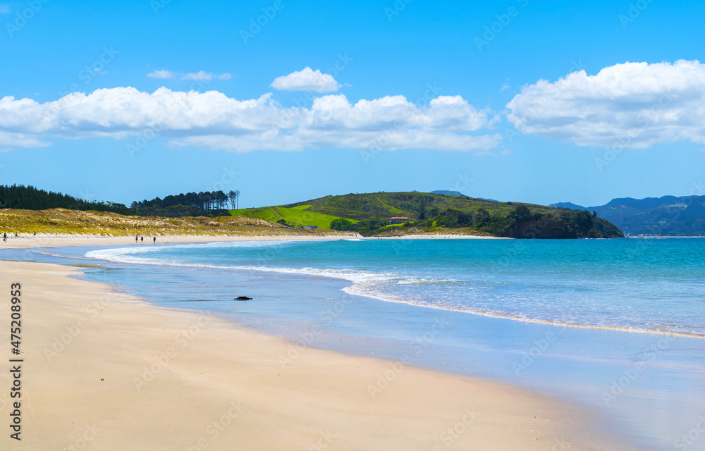Panoramic View of Tawharanui Beach and Regional Park, Auckland New Zealand; White Sandy Beach during Low Tide Panoramic View of Tawharanui Beach and Regional Park, Auckland New Zealand; White Sandy Beach during Low Tide