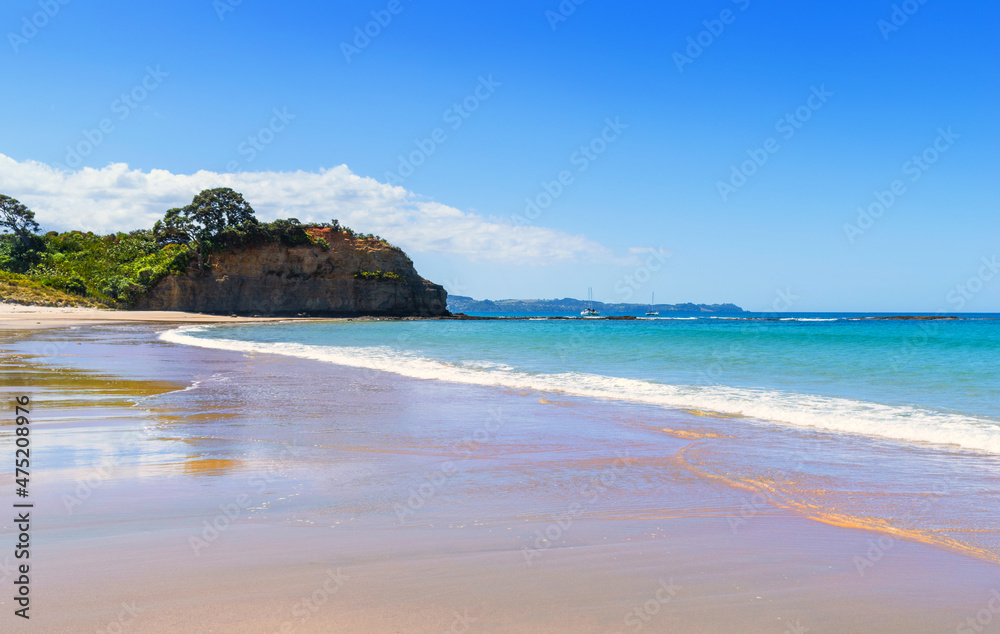 Panoramic View of Tawharanui Beach and Regional Park, Auckland New Zealand; White Sandy Beach during Low Tide Panoramic View of Tawharanui Beach and Regional Park, Auckland New Zealand; White Sandy Beach during Low Tide