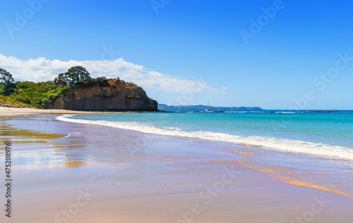 Obraz na płótnie Panoramic View of Tawharanui Beach and Regional Park, Auckland New Zealand; White Sandy Beach during Low Tide w salonie