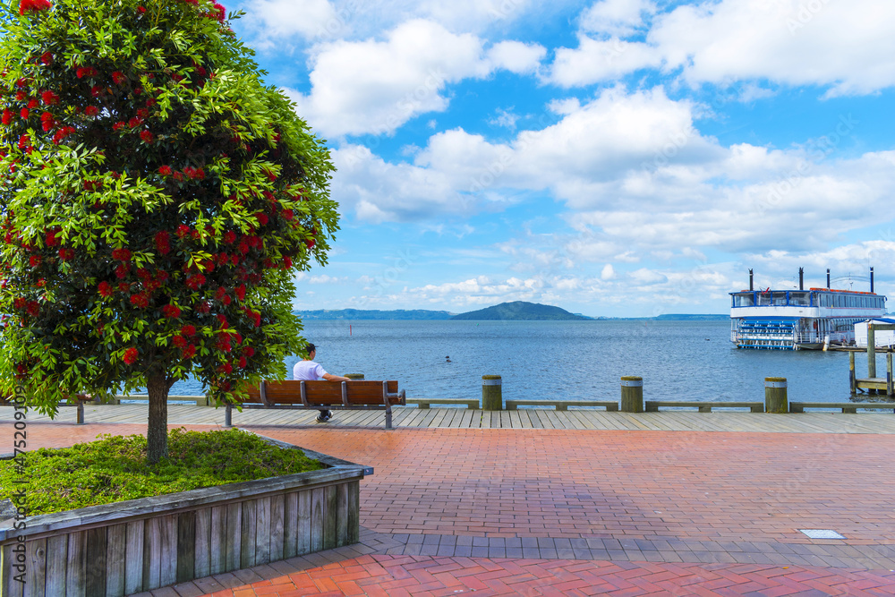 Panoramic View of Lake Rotorua New Zealand, Bay of Plenty Region, North Island during Calm Day