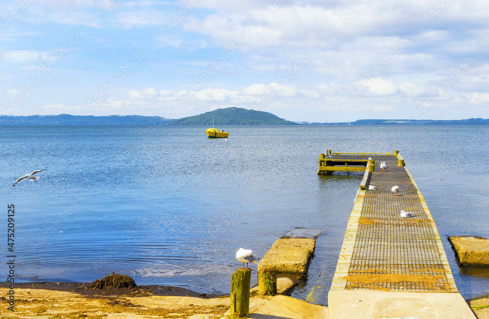 Panoramic View of Lake Rotorua New Zealand, Bay of Plenty Region, North Island during Calm Day