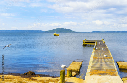 Obraz na płótnie Panoramic View of Lake Rotorua New Zealand, Bay of Plenty Region, North Island during Calm Day w salonie