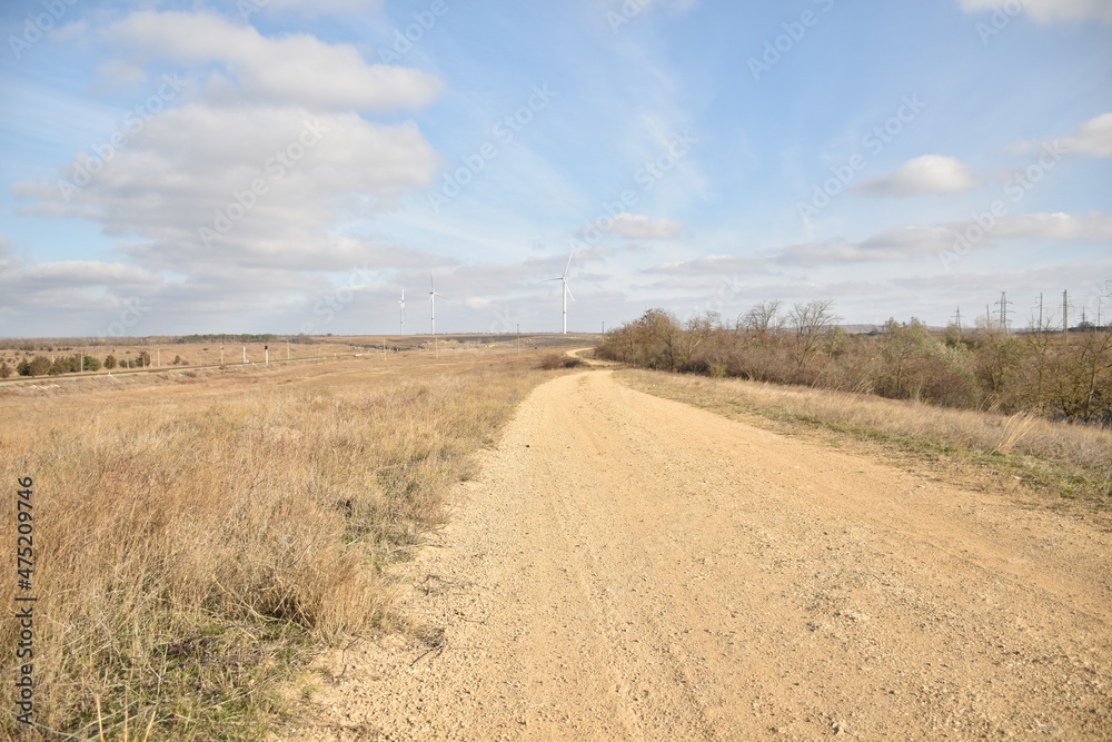 Fototapeta premium road in the countryside