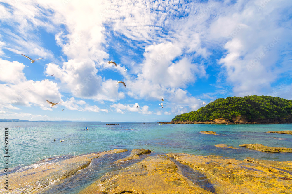 Panoramic View of Goat Island Beach, Leigh Auckland New Zealand; Marine Reserve