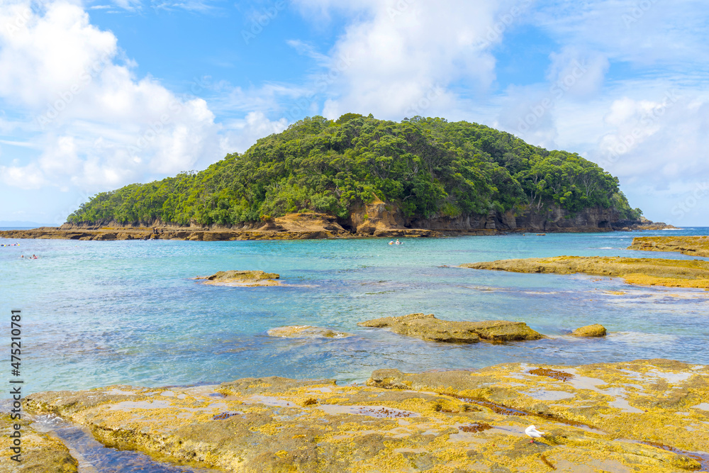 Panoramic View of Goat Island Beach, Leigh Auckland New Zealand; Marine Reserve