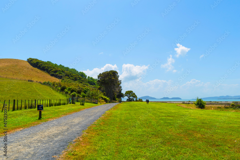 Fototapeta premium Landscape Scenery of Duder Regional Park, Auckland New Zealand; Panoramic View