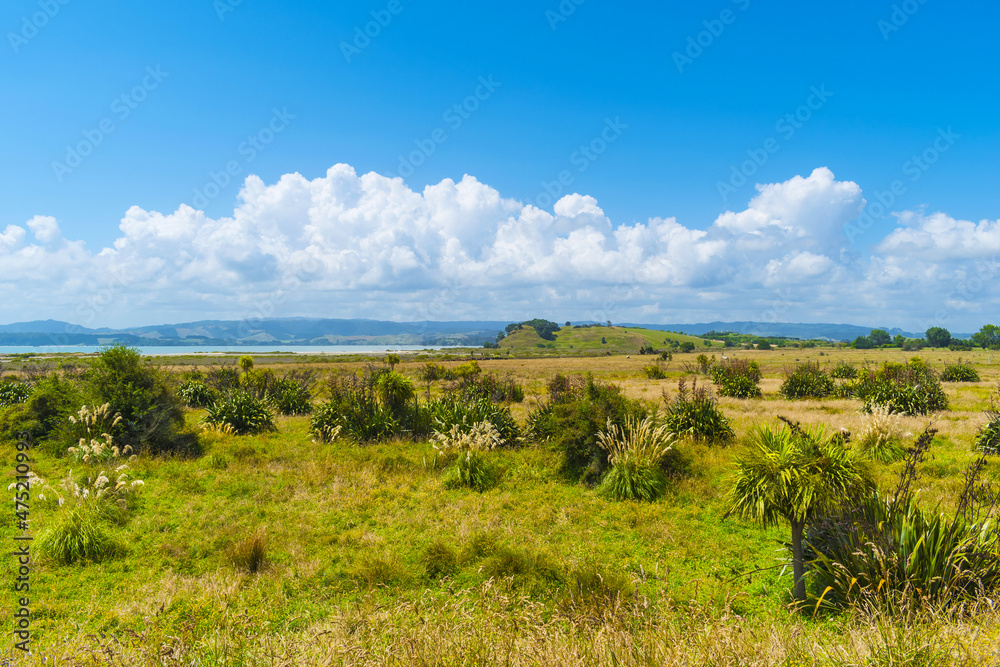 Landscape Scenery of Duder Regional Park, Auckland New Zealand; Panoramic View