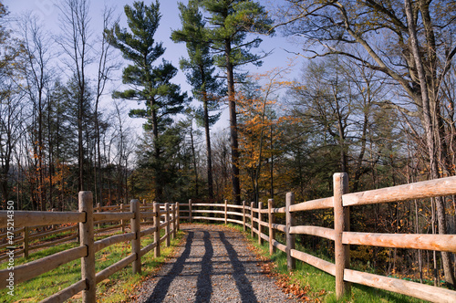 Sunny autumn day view along the pathway on Humber Valley Heritage Trail near Kleinburg  Ontario  Canada