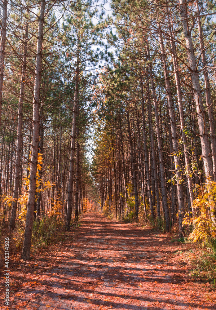 Sunny autumn day view along the pathway on Humber Valley Heritage Trail near Kleinburg, Ontario, Canada Sunny autumn day view along the pathway on Humber Valley Heritage Trail near Kleinburg, Ontario, Canada