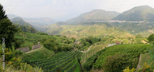 Northern Italy is a wine country photo