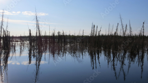 Northwest Territories tundra image in the swamp lake