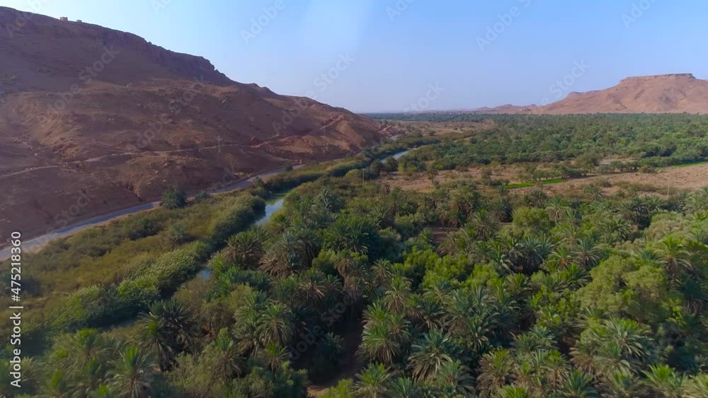 Aerial flyover tropical palm tree plantation beside tranquil river, desert road and mountains in Morocco during sunny day and blue sky Aerial flyover tropical palm tree plantation beside tranquil river, desert road and mountains in Morocco during sunny day and blue sky