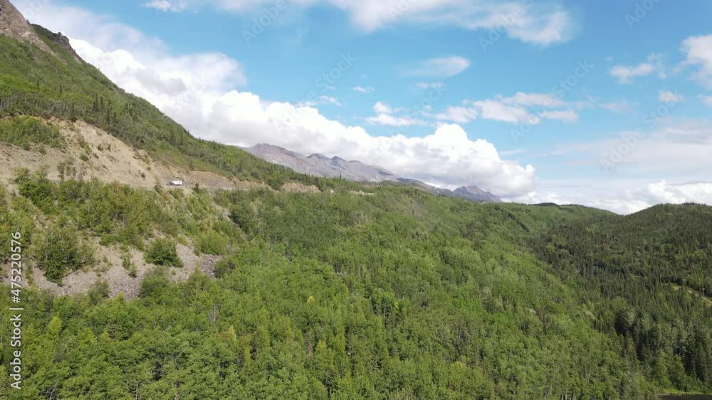 Aerial Scenic Summer Drive Through Lush Green Forest Aerial Scenic Summer Drive Through Lush Green Forest