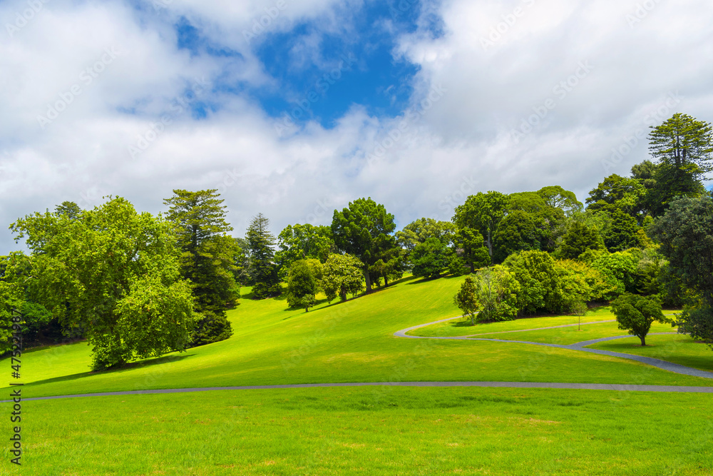 Landscape Scenery of Monte Cecilia Park Hillsborough, Auckland New Zealand