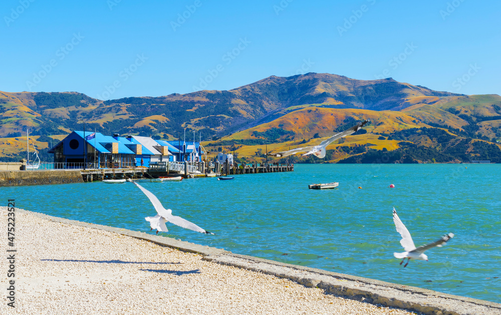 Panoramic View of Akaroa Beach on the Banks Peninsula, southeast of Christchurch, South Island, New Zealand. Wharf Akaroa harbour.