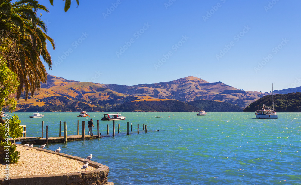 Panoramic View of Akaroa Beach on the Banks Peninsula, southeast of Christchurch, South Island, New Zealand. Look out spot at the beach.