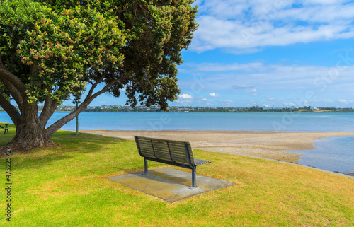 Panoramic View of Lansdowne Reserve on Shoal Bay, Bayswater, Auckland New Zealand photo