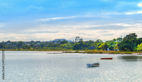 Obraz na płótnie Panoramic View of Lansdowne Reserve on Shoal Bay, Bayswater, Auckland New Zealand w salonie