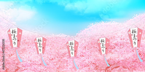 桜　祭り　満開　背景　