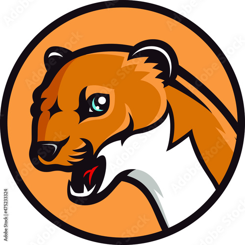 Head of Weasel Cartoon Character Design