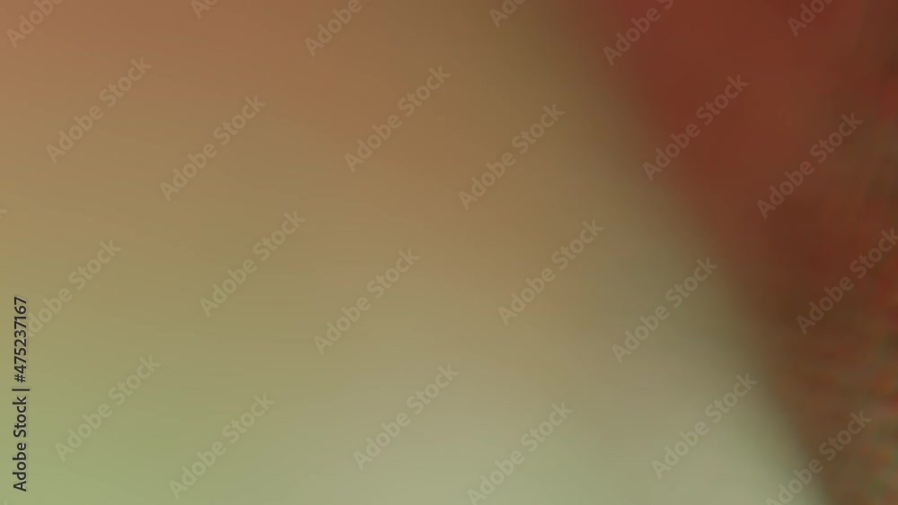 Visual splash transitions red green blue. Flickering light. Video background. Video transition. The movement of light and color in bokeh. Visual splash transitions red green blue. Flickering light. Video background. Video transition. The movement of light and color in bokeh.