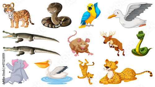 Set of different wild animals cartoon characters