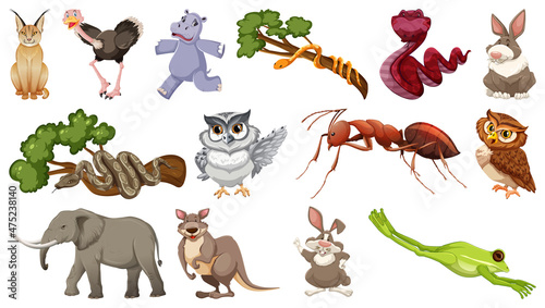 Set of different wild animals cartoon characters