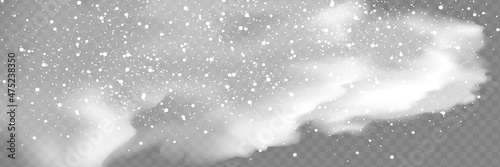 Vector snowfall isolated. Winter background. Snow overlay illustration. Snowflakes and ice.