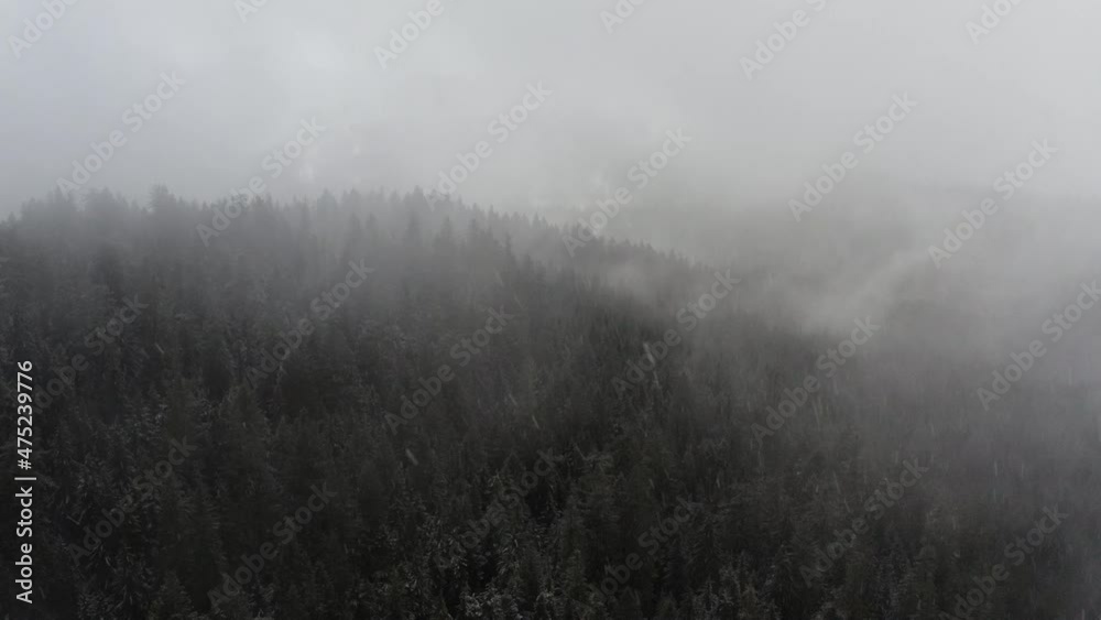drone shot flying over conifer forest with snow falling, Cascade Mountains, Oregon drone shot flying over conifer forest with snow falling, Cascade Mountains, Oregon