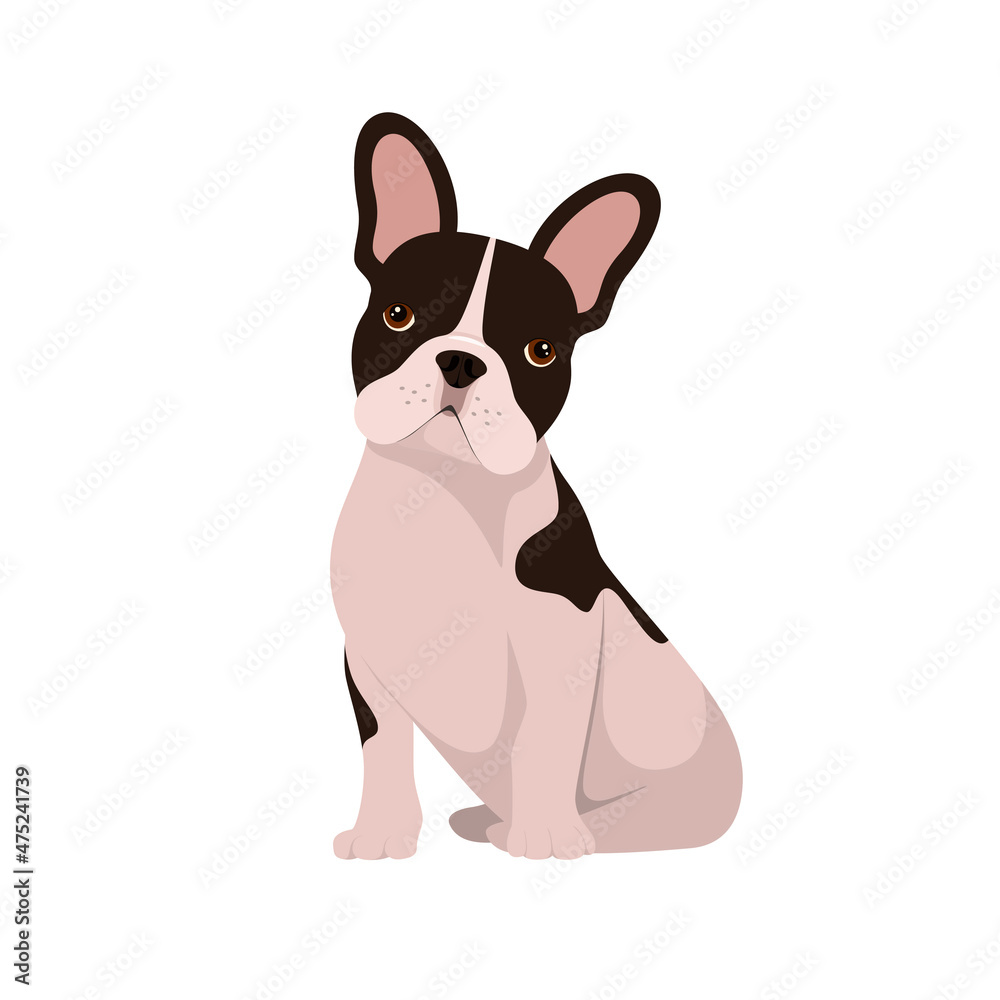 Funny French bulldog on a white background. A dog in a cartoon design.
