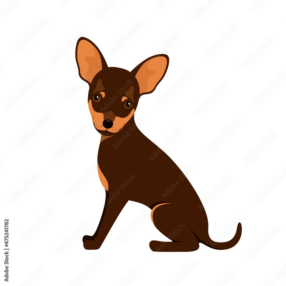 Toy terrier on a white background. A dog in a cartoon design.
Toy terrier on a white background. A dog in a cartoon design.