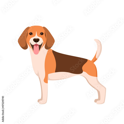 Funny beagle on a white background. A dog in a cartoon design. 