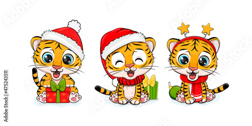 Set of Christmas tiger, Merry Christmas illustration of cute tigers with accessories, hat, scarv and gifts.Collection of chinese tiger.Vector illustration