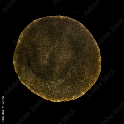 Beautiful elegant golden dusty stain for a beautiful designs