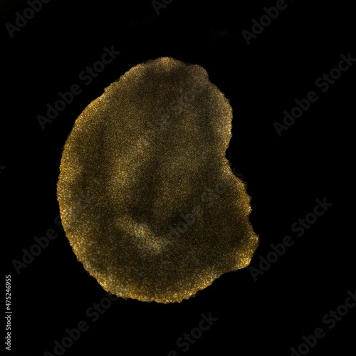 Beautiful gold glitter festive background - perfect for luxurious card template or other purpose