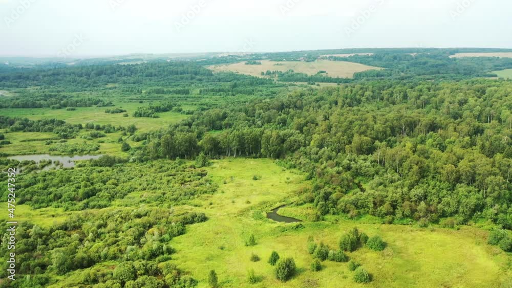 Aerial view of a swamp in a woodland on a summer day Aerial view of a swamp in a woodland on a summer day