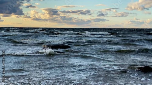 shore baltic sea gulf of finland autumn daytime