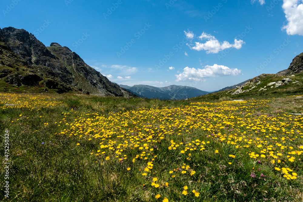 Spring trekking Font d Argent in Andorra