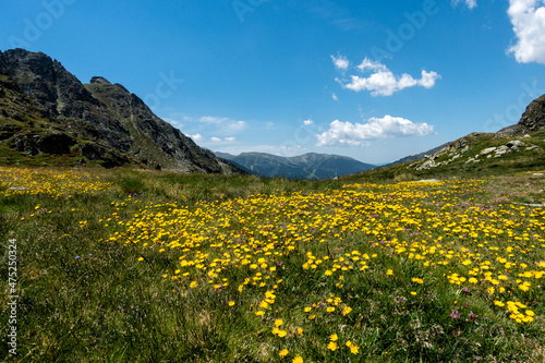 Spring trekking Font d Argent in Andorra
