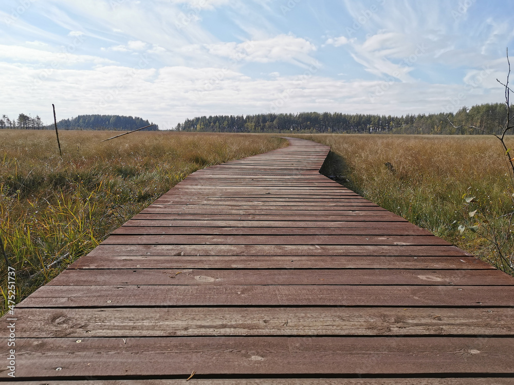 A winding deck of brown planks over a swamp with yellowed grass, going to the forest, against a beautiful sky with clouds.
