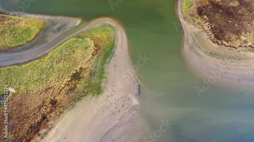 Aerial view of beautiful curving river at sunrise in autumn. View from air. Turns of river, meadows, orange grass, trees at dawn. Colorful aerial landscape of river coast at sunset in fall
