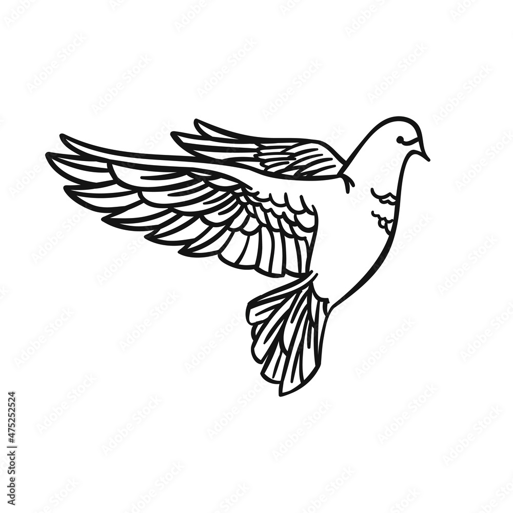 Beautiful dove symbol of love in a linear style on a white background. For design and illustrations. Vector illustration.