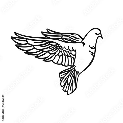 Beautiful dove symbol of love in a linear style on a white background. For design and illustrations. Vector illustration.