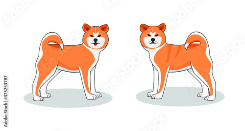 Wallpaper Mural Smart young Akita dog or Akita inu from northern japan drawing in cartoon vector Torontodigital.ca