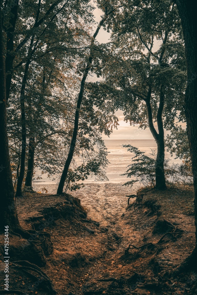 Woods road to the Baltic Sea surrounded with ground hills by two sides. Woods road to the Baltic Sea surrounded with ground hills by two sides.